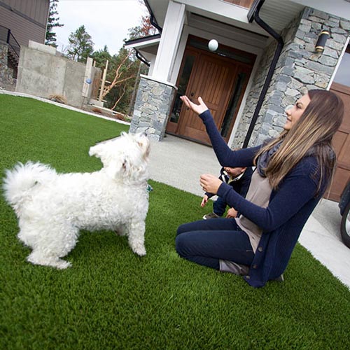 image of Pet friendly artificial grass for your furry friends available at SYNLawn Milwaukee